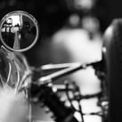 shutterstock_2266481031